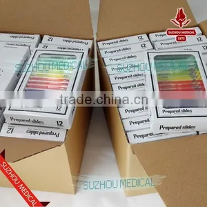 Plastic Prepared Slide Set of 12 for Children Microscope thumbnail-2