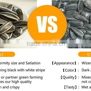 New Crop Chinese Sunflower Seed 5009/3638/0409/103/601 for Bird thumbnail-4