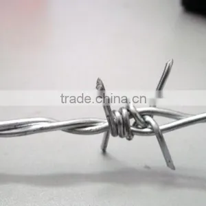 Hot Galvanized Barbed Wire / Barbed Wire thumbnail-1