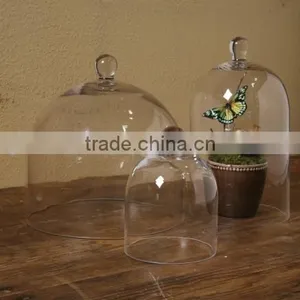 Wholesale Glass Bell Cloche and Glass Cloches as Glass Dome With Wooden Base thumbnail-4