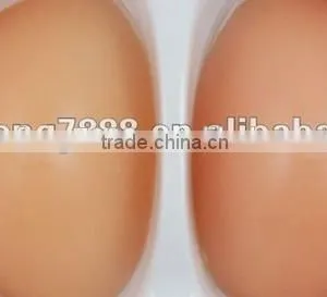 European Size More Suitable Artificial Breast Silicone Artificial Breast thumbnail-1
