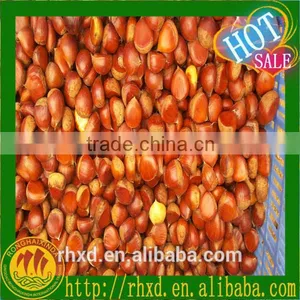 2015 Health Food Almonds/peeled Chestnuts for Sale/roasted Chestnuts thumbnail-2