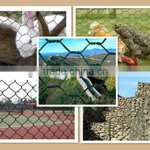 Hot Dipped Galvanized Hexagonal Wire Mesh (Professional Manufacturer) thumbnail-1