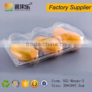 Transparent PET Plastic 3 Mango Box and Tray thumbnail-2