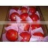 Pomegranate thumbnail-1