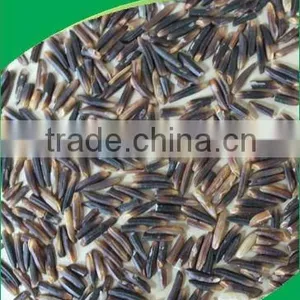 PREMIUM-QUALITY GOOD-PRICE BEST PRICE ORGANIC BLACK RICE thumbnail-1