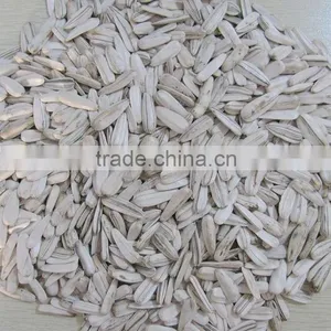 100% New White Sunflower Seeds Buyers Sunflower thumbnail-6