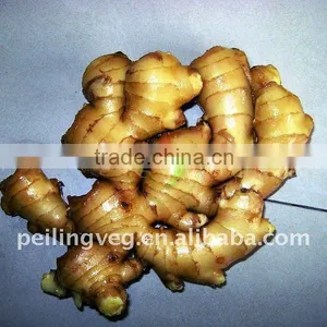 Fresh Ginger(farmland) thumbnail-1