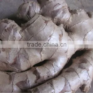 FRESH GINGER HIGH QUALITY thumbnail-1