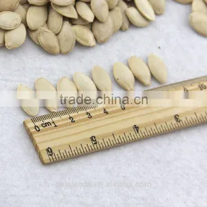 Wholesale Edible White Pumpkin Seed Price thumbnail-2