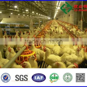 U-BEST Automatic Whole Poultry Farming Equipment for Chicken House thumbnail-6