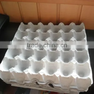 Waste Paper Egg Tray Machine thumbnail-1