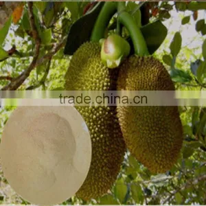 Amino Acids Complex Vegetable Source Amino Acids 50% Powder thumbnail-1