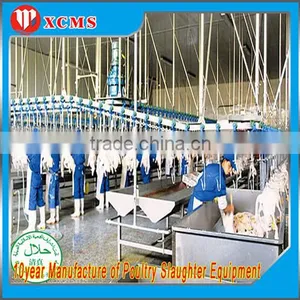 Good Halal Chicken Slaughter Line/slaughterhouse Equipment thumbnail-1