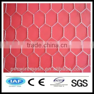 China Wholesale CE&ISO Certificated Hexagonal Wire Mesh 10mm(pro Manufacturer) thumbnail-1