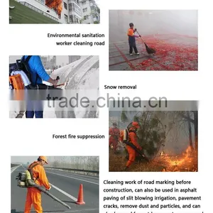 2017 Best Selling Household Snow Blower/air Blower Manufacturer,manual Blower for Construction Site Cleanup thumbnail-6