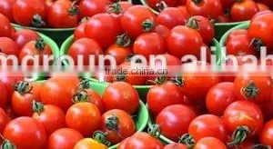 Hot Sale High Viscosity Filling Machinery/tomato Sauce Filling Machinery/ketchup Filling Machinery thumbnail-4
