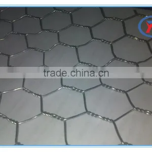 1/4",3/4" Cheap Decorative Chicken Wire /Rabbit Wire Mesh /Galvanized Hexagonal Wire Mesh thumbnail-4