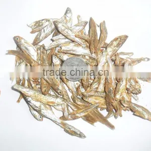 High Nutrition Types of Dried Fish Dry Cat Food thumbnail-2