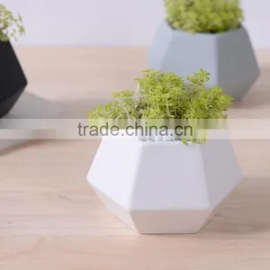 New Deign Small Hexagon Matte Porcelain Indoor Decorative Pots Planters thumbnail-1