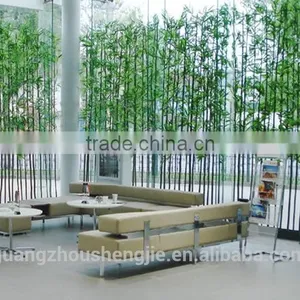 2016 Indoor Bonsai Trees Bonsai Plant Sale Bonsai Plants Bamboo thumbnail-1