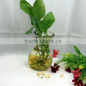 Yellow Color Glass Water Beads Used in Office thumbnail-1