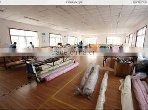 Tianjin Zhong Jian Guo Kang Nano Technology INC., Ltd. company overview - view 3 thumbnail