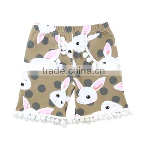 Wholesale Sweat Girls Shorts Flower Print Lovely Short Pants Baby Boutique Clothing Sweet Shorts thumbnail-4