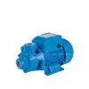 QB Series Clean Water Pump (QB-60 QB-70 QB-80 QB-90) thumbnail-1