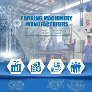 Anyang Forging Press ( Group) Machinery Industry Co., LTD. company overview - view 1 thumbnail