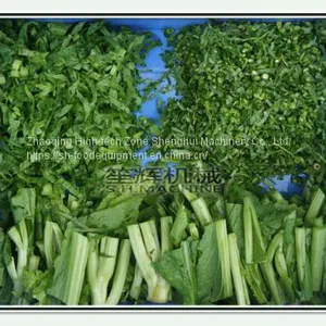 Double Head Leaf Vegetable Cutting Machine Fruit Slicing Shredder Dicing Equipment thumbnail-5
