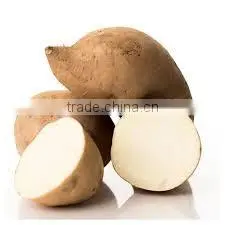 Frozen White Sweet Purple Potato From Vietnam/ Purple Yam thumbnail-1