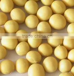 Organic Soyabean thumbnail-2