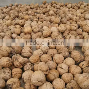 Thin Walnut From China thumbnail-1