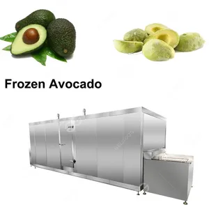 Flash Frozen Equipment/Freeze Cantaloupe Chunks thumbnail-2