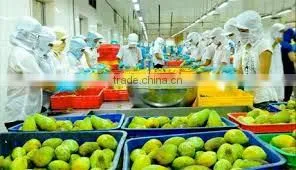 Fresh Mango/Delicous Fresh Mango/Sweet Fresh Mango thumbnail-3