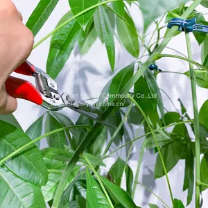 Garden Branch Cutting Scissors Tree Pruning Tool Stainless Steel Pointed Pruning Shears With Plastic Handle thumbnail-4