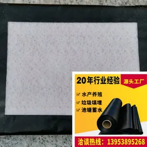 Waterproof Earthwork Geosynthetic Clay Liner Bentonite Swelling Waterproof Membrane Bentonite Geotextile Cover for Landfills thumbnail-5