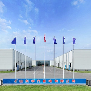 Shandong Huali Electromechanical Co., Ltd. company overview - view 1 thumbnail