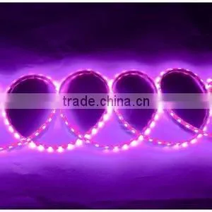 High Quality Best Selling SMD 5050 RGB Addressable White Led Flexible Strip Runing Dream Color WS2811 5V 60leds thumbnail-5