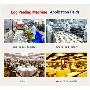 3600pcs/h Egg Peeling Machine Automatic Boiled Egg Sheller for Chicken and Duck Egg Processing 220V 500W thumbnail-5