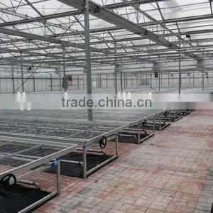 Hot Sale Cut Flowers Used Greenhouse Bench thumbnail-3