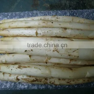 2016 Crop Chinese Frozen Iqf White Asparagus Center Cuts thumbnail-3