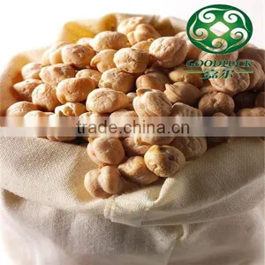 Wholesale China Chickpeas of Xinjing Origin(2013 Crop) Quality Choice thumbnail-5