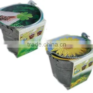 Watering Pot Herb,Mini Herb,Mini Plant thumbnail-1