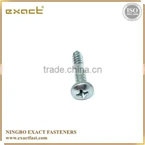 Philips Pan Head Screws Self Tapping Screw Tapping Screw Screw Din7981 thumbnail-6