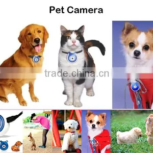 Low Cost Animal Observation Camera With Night Vision for Wholesale Quality Choice thumbnail-1