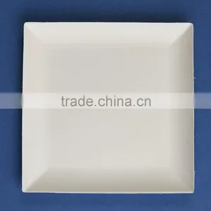 F1-PL-07-S Bagasse Square Plate thumbnail-3