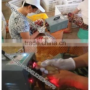 OUCHEN Chicken Debeaking Machine Beak Cutter Chicken Mouth Cutting Machine for Sale thumbnail-6