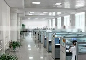 Shenzhen DragonWorth Technology Co., Ltd. company overview - view 2 thumbnail
